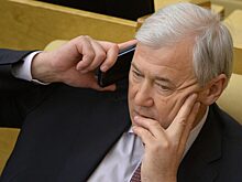 В Госдуме предсказали крах биткоина