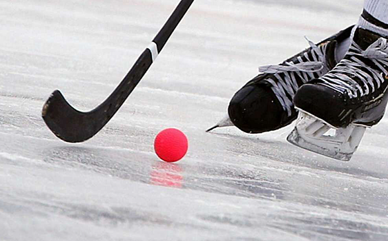 Чемпионат России по хоккею с мячом. «СКА-Нефтяник» обыграл «Кузбасс», «Водник» разгромил «Саян», другие результаты