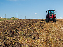 Импортозамещение на полях: саратовский аграрный центр готов обеспечить семенами регионы России