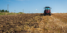 Импортозамещение на полях: саратовский аграрный центр готов обеспечить семенами регионы России