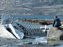 Российские фильмы разжигают вражду