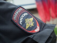 В Скопине задержали подозреваемых в угоне машины