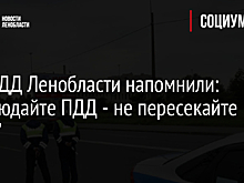 В ГИБДД Ленобласти напомнили: "Соблюдайте ПДД - не пересекайте черту"