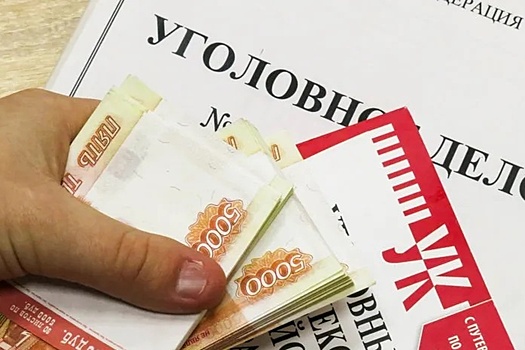 Начальник налоговой из Воронежа осужден за крупное мошенничество на миллион рублей