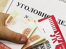 Начальник налоговой из Воронежа осужден за крупное мошенничество на миллион рублей