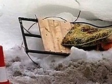 В Зауралье автоледи протаранила пешеходов