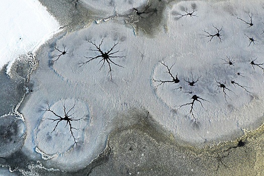 В Приамурье на замерзающем озере образовались узоры в виде нейронов