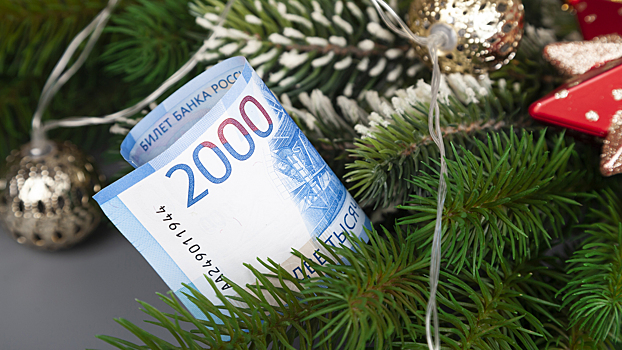 Как выгодно купить новогоднюю ёлку в 2025 году