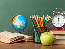 В Новосибирске чиновники проверят школу, где педагог буллила первоклассников