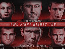 AMC Fight Nights 108: Пономарев нокаутировал Висенте, Стецуренко победил Никулина