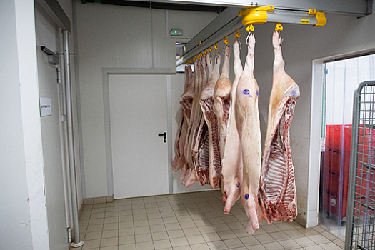 Как менялась стоимость мяса в Калининградской области за десять лет