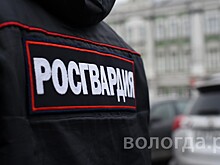 Более 7 тыс. сигналов с охраняемых объектов Вологды отработали росгвардейцы в этом году