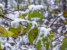 Москвичам рассказали о погоде