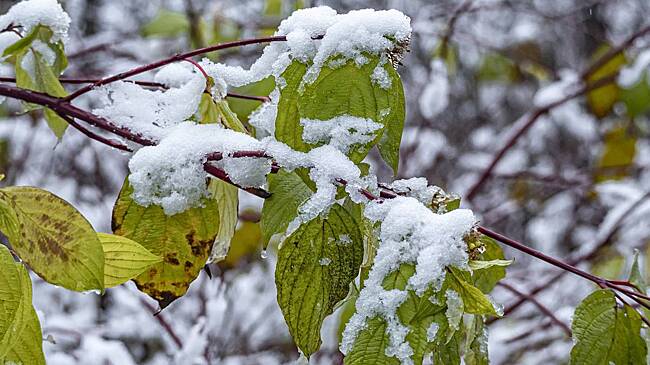 Москвичам рассказали о погоде