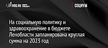 На социальную политику и здравоохранение в бюджете Ленобласти запланирована круглая сумма на 2023 год