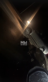 Иномарка улетела в кювет после столкновения с лошадью на дороге в Липецкой области