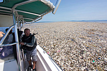 5 фактов о Большом тихоокеанском мусорном пятне