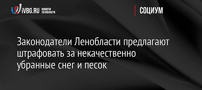 Законодатели Ленобласти предлагают штрафовать за некачественно убранные снег и песок