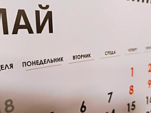 Котяков ознакомится с идеей о непрерывных выходных с 1 по 9 мая