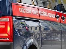 Тела мужчины и шестилетнего ребёнка нашли в Краснодаре