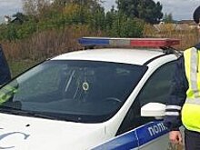 Автолюбитель поблагодарил сотрудников Госавтоинспекции Татарстана за помощь на дороге