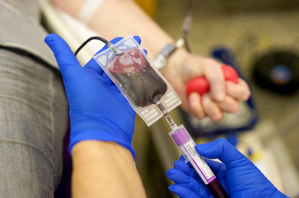 20&nbsp; ������: ����� �������� �������� � ������ � ����