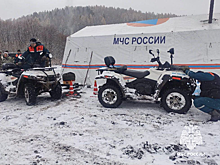 Добровольцы в поисках пропавшей под Красноярском семьи прошли 515 км лесных троп