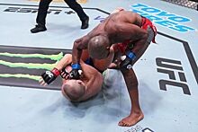 UFC Fight Night 229, итоги турнира, результат боя Грант Доусон — Бобби Грин, исход поединка, нокаут