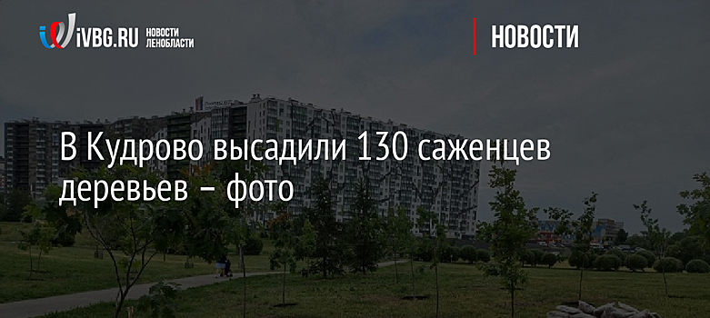 В Кудрово высадили 130 саженцев деревьев – фото
