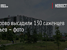 В Кудрово высадили 130 саженцев деревьев – фото