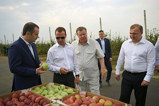 Медведев ознакомился с ходом полевых работ в Адыгее