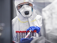 В российском курортном регионе выросла заболеваемость коронавирусом