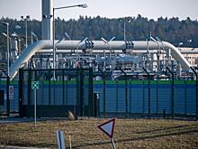 Политтехнолог назвал западные санкции «белой горячкой»