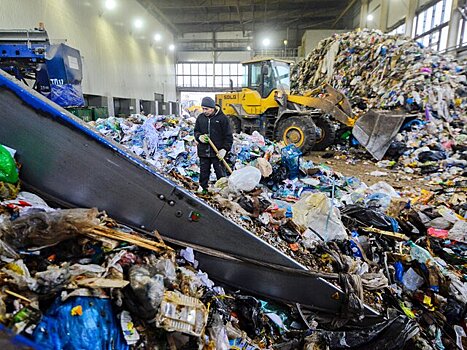 В РЭО предупредили о "коллапсирующем" росте отходов в России