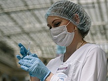 Гинцбург: при необходимости РФ быстро наладит выпуск модификации «Спутника V» под «дельту»