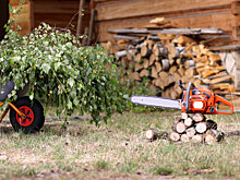 Нужна ли дачнику профессиональная цепная пила — критерии выбора