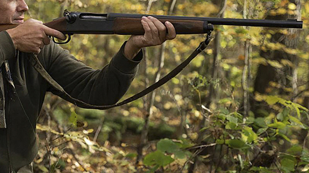 Браконьер из Тюменской области отделался условным сроком за убийство лося