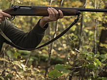 Браконьер из Тюменской области отделался условным сроком за убийство лося