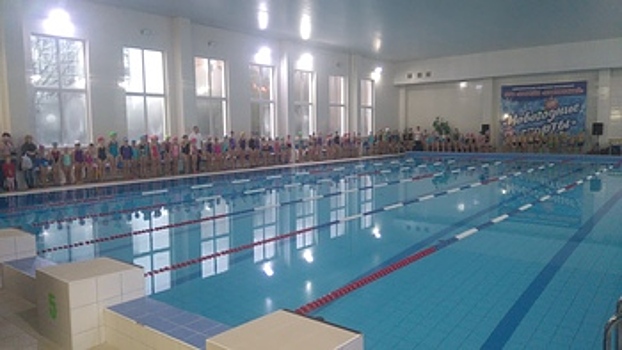 Школьники из Тропарево-Никулино показали мастерство в плавании
