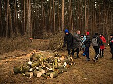 В Курске состоялась очередная акция по заготовке дров для военнослужащих