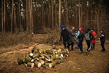В Курске состоялась очередная акция по заготовке дров для военнослужащих