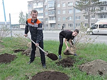 Миллион рублей от ЕВРАЗа поможет Качканару стать еще зеленее