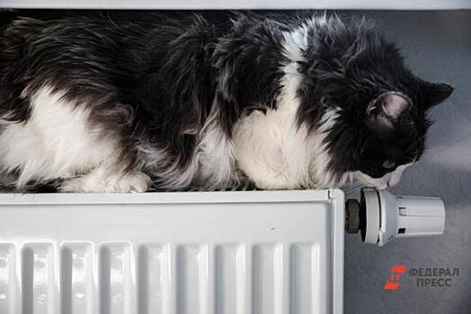 Когда в домах Новосибирска будет тепло