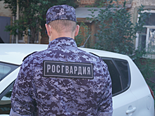Саратовские росгвардейцы нашли угнанный автомобиль в лесу