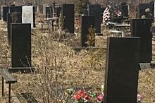 В Нижнем Новгороде проведут оцифровку мест захоронения