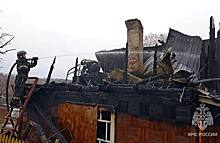 В Новосибирской области в 2,5 раза выросло количество пожаров