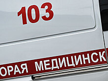 Подросток упал с Большого каменного моста при попытке сделать селфи