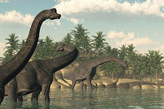 Ученые выяснили, что люди утратили гены долголетия из-за динозавров