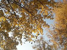 Воронежский музей-заповедник «Костенки» продлевает туристический сезон до 1 декабря