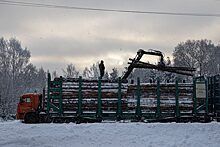 Грузовой транспорт в объемах нового лизингового бизнеса превысил долю легкового